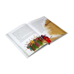 Biblia. Świętą historia dla naszych dzieci