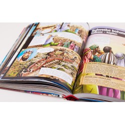 Biblia w komiksie